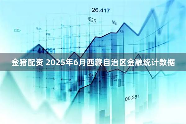金猪配资 2025年6月西藏自治区金融统计数据