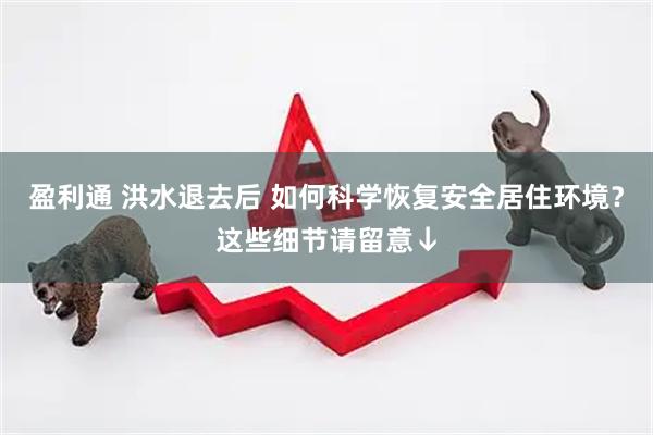 盈利通 洪水退去后 如何科学恢复安全居住环境？这些细节请留意↓